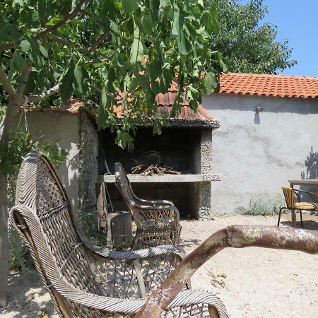 Guesthouse Dila Galovac  Extérieur photo