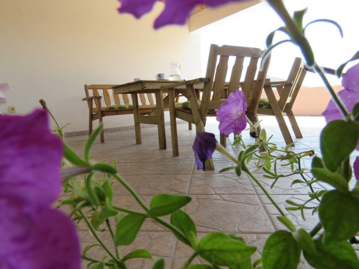 Guesthouse Dila Galovac  Extérieur photo